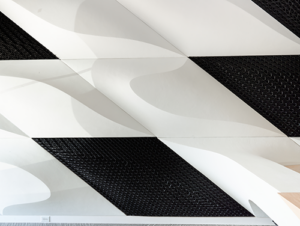Branch Cladding BRANCH TECHNOLOGY - Freeform 3D Printed Building Facades