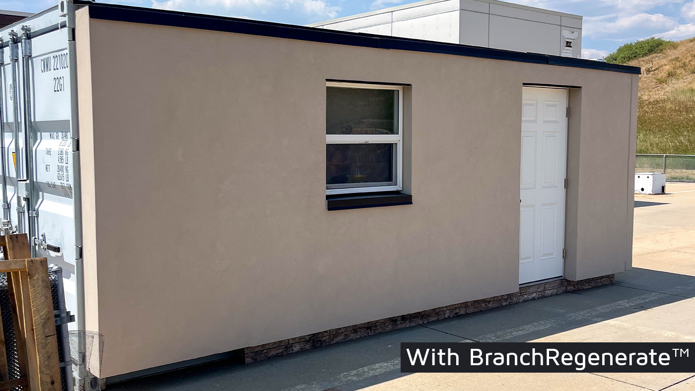 Completed BranchRegenerate facade